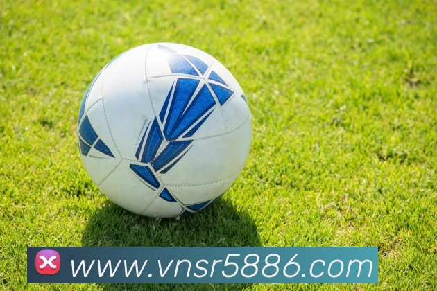 平台展示图